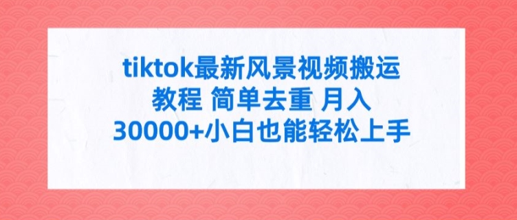 tiktok最新风景视频搬运教程 简单去重 月入3W+小白也能轻松上手【揭秘】-599资源坊