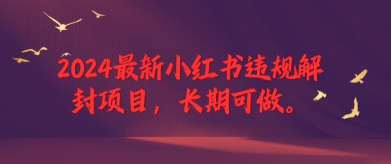 2024最新小红书违规解封项目，长期可做，一个可以做到退休的项目【揭秘】-599资源坊