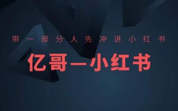 ​​带一部分人先冲进小红书，小红书开店、选品、爆款裂变-599资源坊