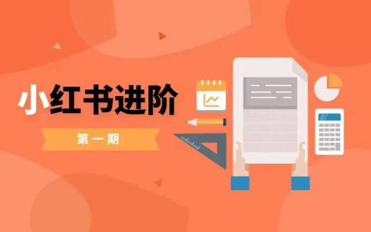 小红书进阶篇，零基础小白实战课，普通人变现的课程-599资源坊