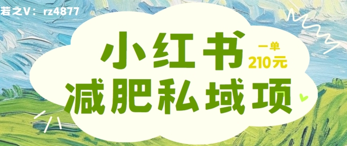 小红书减肥粉，私域变现项目，一单就达210元，小白也能轻松上手【揭秘】-599资源坊