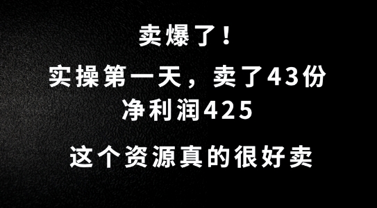 这个资源，需求很大，实操第一天卖了43份，净利润425【揭秘】-599资源坊