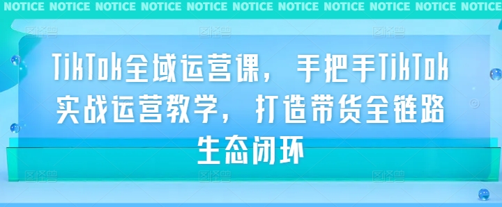 TikTok全域运营课，手把手TikTok实战运营教学，打造带货全链路生态闭环-599资源坊