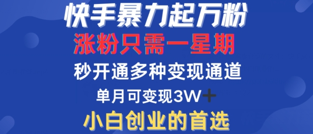 快手暴力起万粉，涨粉只需一星期，多种变现模式，直接秒开万合，单月变现过W【揭秘】-599资源坊