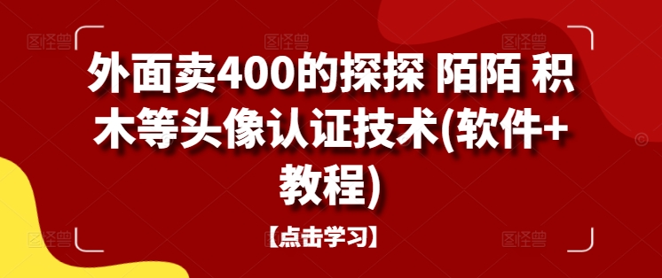 外面卖400的探探 陌陌 积木等头像认证技术(软件+教程)-599资源坊