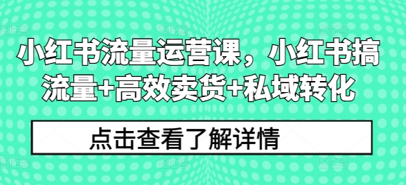 小红书流量运营课，小红书搞流量+高效卖货+私域转化-599资源坊