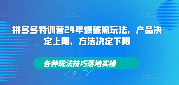 拼多多特训营24年爆破流玩法，产品决定上限，方法决定下限，各种玩法技巧落地实操-599资源坊