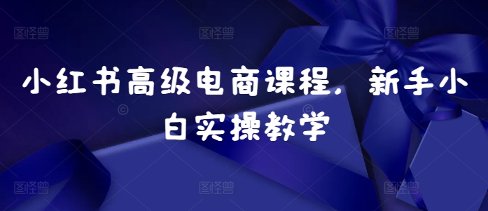 小红书高级电商课程，新手小白实操教学-599资源坊