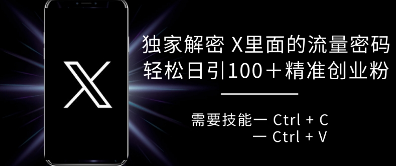 独家解密 X 里面的流量密码，复制粘贴轻松日引100+-599资源坊