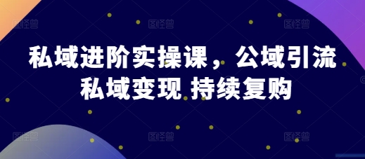 私域进阶实操课，公域引流 私域变现 持续复购-599资源坊