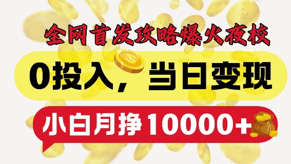 全网首发爆火夜校，0投入，当日变现，小白轻松月入1w+【揭秘】-599资源坊