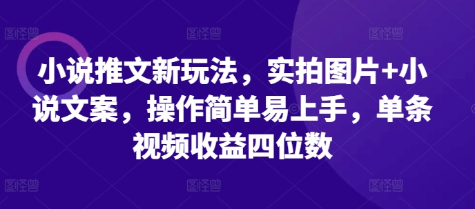 小说推文新玩法，实拍图片+小说文案，操作简单易上手，单条视频收益四位数-599资源坊