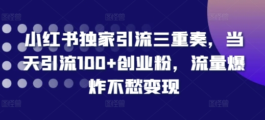 小红书独家引流三重奏，当天引流100+创业粉，流量爆炸不愁变现【揭秘】-599资源坊