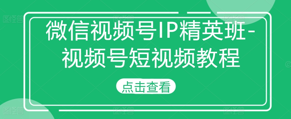微信视频号IP精英班-视频号短视频教程-599资源坊