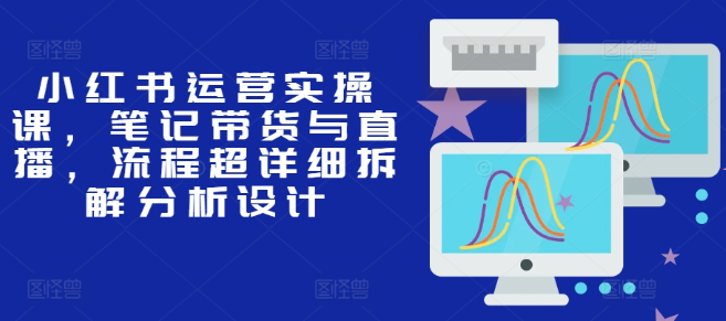小红书运营实操课，笔记带货与直播，流程超详细拆解分析设计-599资源坊