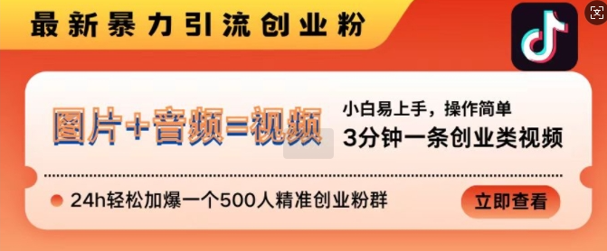 抖音最新暴力引流创业粉，3分钟一条创业类视频，24h轻松加爆一个500人精准创业粉群【揭秘】-599资源坊