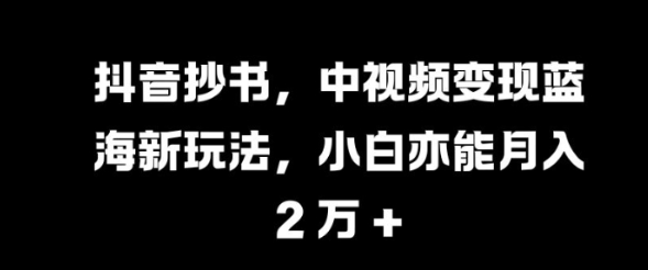 抖音抄书，中视频变现蓝海新玩法，小白亦能月入 过W【揭秘】-599资源坊