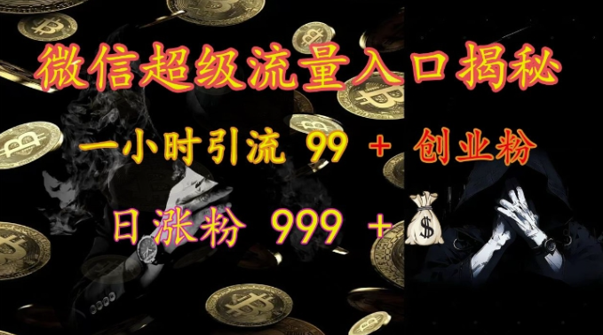 微信超级流量入口揭秘：一小时引流 99 + 创业粉，日涨粉 999 +-599资源坊