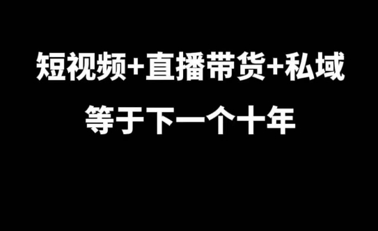 短视频+直播带货+私域等于下一个十年，大佬7年实战经验总结-599资源坊
