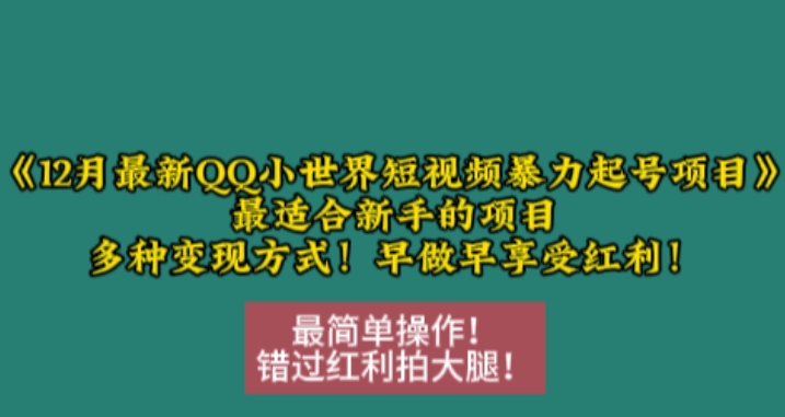 12月最新QQ小世界短视频暴力起号项目，最适合新手的项目，多种变现方式-599资源坊