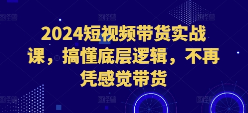 2024短视频带货实战课，搞懂底层逻辑，不再凭感觉带货-599资源坊