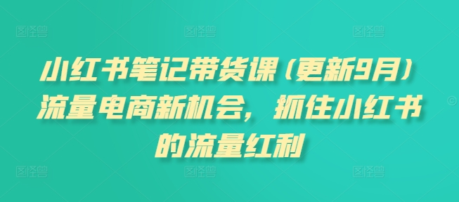小红书笔记带货课(更新12月)流量电商新机会，抓住小红书的流量红利-599资源坊