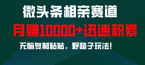 微头条相亲赛道，迅速积累，无脑复制粘贴，野路子玩法，月入1w-599资源坊