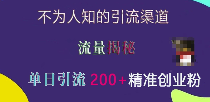 不为人知的引流渠道，流量揭秘，实测单日引流200+精准创业粉【揭秘】-599资源坊
