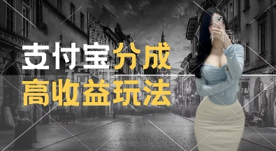 支付宝分成计划新玩法，利用交通事故视频，赚收益，轻松月入过W，操作简单【揭秘】-599资源坊