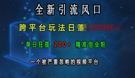 全新引流风口，跨平台玩法日入上k，单日狂揽200+精准创业粉，一个被严重忽略的视频平台-599资源坊