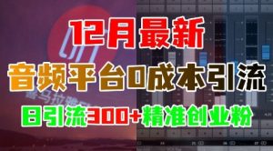 12月最新:音频平台0成本引流,日引流300+精准创业粉-599资源坊