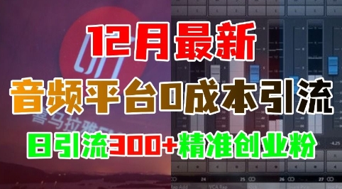 12月最新：音频平台0成本引流，日引流300+精准创业粉-599资源坊