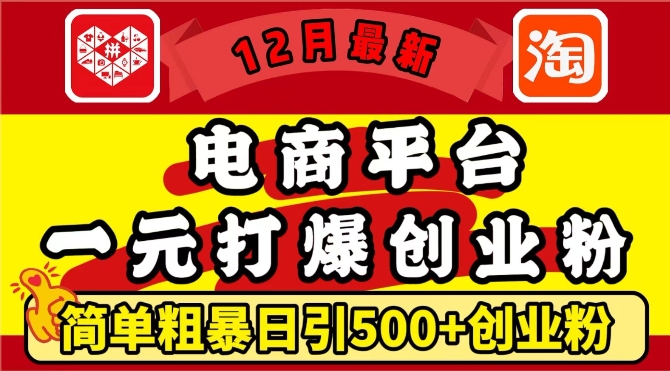 12月最新：电商平台1元打爆创业粉，简单粗暴日引500+精准创业粉，轻松月入过W【揭秘】-599资源坊