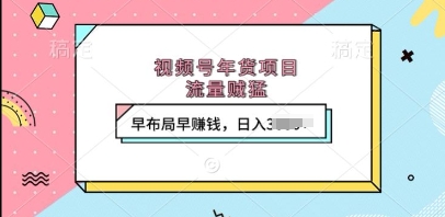 视频号年货项目，流量贼猛，早布局早挣钱，日入上k【揭秘】-599资源坊