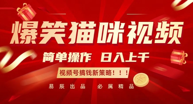 爆笑猫咪视频：简单操作，日入过K，视频号搞钱新策略【揭秘】-599资源坊