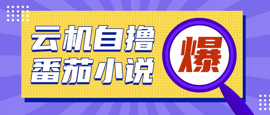 首发云手机自撸小说玩法，10块钱成本可撸200+收益操作简单【揭秘】-599资源坊