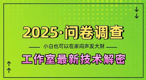 2025问卷调查最新工作室技术解密：一个人在家也可以闷声发大财，小白一天2张，可矩阵放大【揭秘】-599资源坊