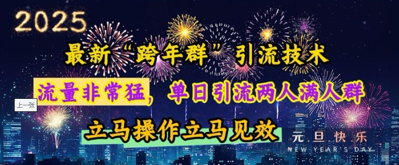 最新“跨年群”引流，流量非常猛，单日引流两人满人群，立马操作立马见效【揭秘】-599资源坊