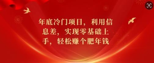 年底冷门项目，利用信息差，实现零基础上手，轻松赚个肥年钱【揭秘】-599资源坊