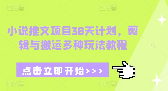 小说推文项目38天计划，剪辑与搬运多种玩法教程-599资源坊