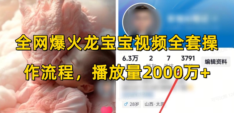 全网爆火龙宝宝视频全套操作流程，播放量2000万+-599资源坊