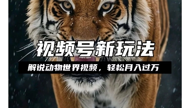 利用动物世界解说视频，赚分成计划收益，轻松月入过W，操作简单【揭秘】-599资源坊