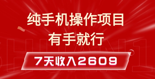 纯手机操作的小项目，有手就能做，7天收入2609+实操教程【揭秘】-599资源坊