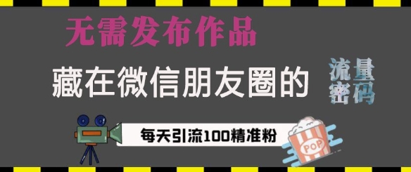 藏在微信朋友圈的流量密码，无需发布作品，单日引流100+精准创业粉【揭秘】-599资源坊
