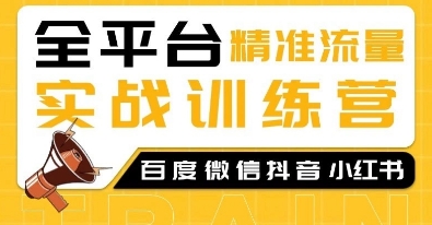 全平台精准流量实战训练营，百度微信抖音小红书SEO引流教程-599资源坊