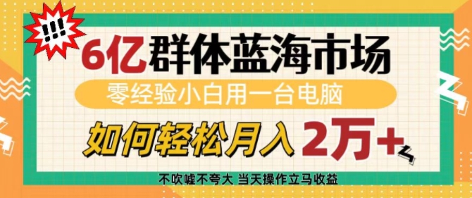 6亿群体蓝海市场，零经验小白用一台电脑，如何轻松月入过w【揭秘】-599资源坊