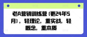 老A营销训练营(更24年12月),轻理论,重实战,轻概念,重本质-599资源坊