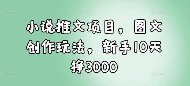小说推文项目，图文创作玩法，新手10天挣3000-599资源坊