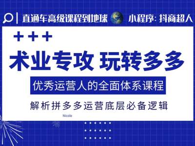 术业专攻玩转多多，优秀运营人的全面体系课程，解析拼多多运营底层必备逻辑-599资源坊