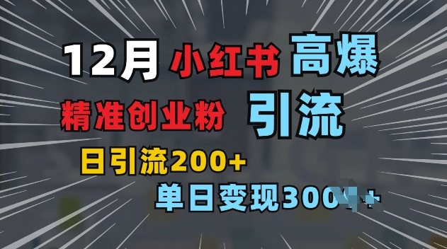 小红书一张图片“引爆”创业粉，单日+200+精准创业粉 可筛选付费意识创业粉【揭秘】-599资源坊